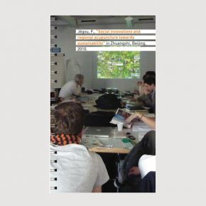 Social innovations and regional acupuncture towards sustainability Social innovations and regional acupuncture towards sustainability