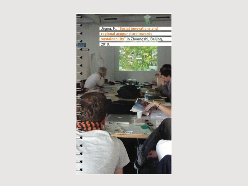 Social innovations and regional acupuncture towards sustainability