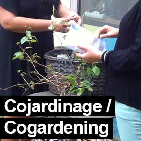 Cojardinage/cogardening